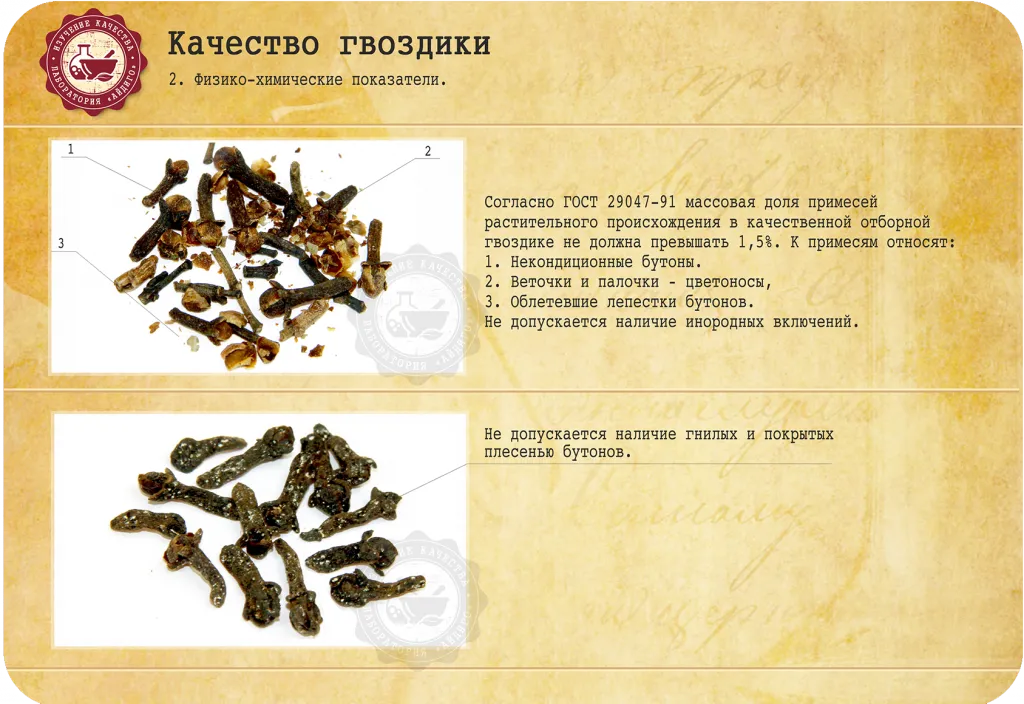gvozdika2_2